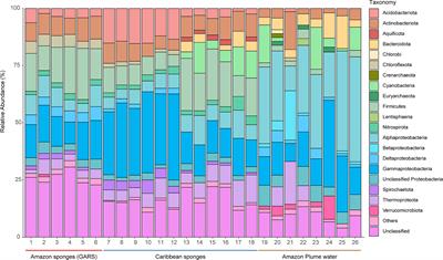 Plume Layer Influences the Amazon Reef Sponge Microbiome Primary Producers